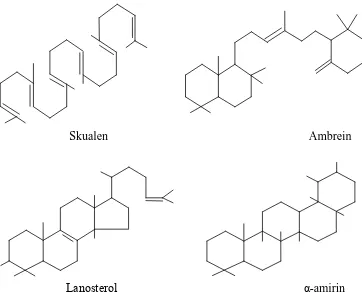Gambar 2.7 Contoh struktur kimia triterpenoid 