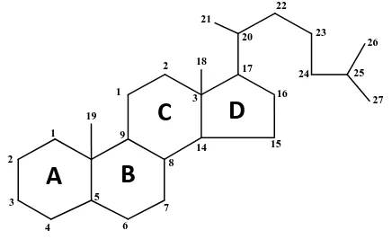 Gambar 2.8 Struktur steroid dan sistem penomorannya 
