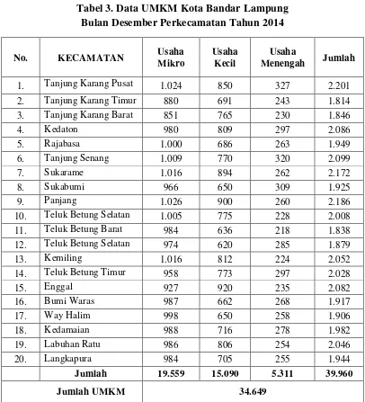Tabel 3. Data UMKM Kota Bandar Lampung 