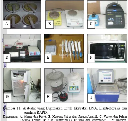 Gambar 11. Alat-alat yang Digunakan untuk Ekstraksi DNA, Elektroforesis dan 