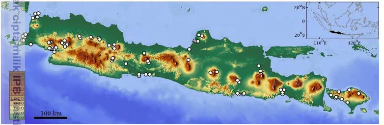 Figure 3 Sampling locations in Java and Bali islands. One point may represent  