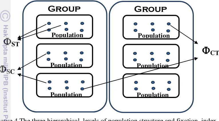 Figure 4 The three hierarchical  levels of population structure and fixation  index 