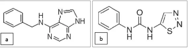 Gambar 3. Stuktur molekul (a) benziladenin dan (b) thidiazuron 