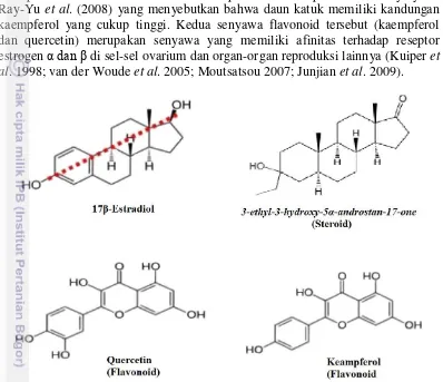 Gambar 3.  17β-Estradiol dan senyawa aktif (steroid dan flavonoid) daun katuk  