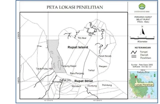 Gambar 3 Lokasi penelitian Perairan Dumai bagian barat.  
