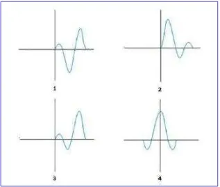 Gambar 6. Jenis-jenis phase wavelet wavelet berdasarkan konsentrasi energinya, yaitu mixed (1), minimum phase wavelet (2), maximum phase wavelet (3), dan zero phase wavelet (4) (Sismanto, 2006) 
