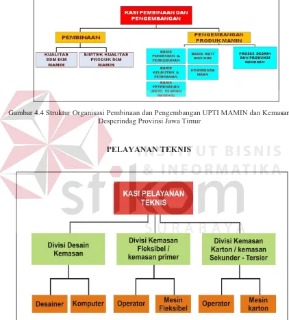 Gambar 4.4 Struktur Organisasi Pembinaan dan Pengembangan UPTI MAMIN dan Kemasan Desperindag Provinsi Jawa Timur  
