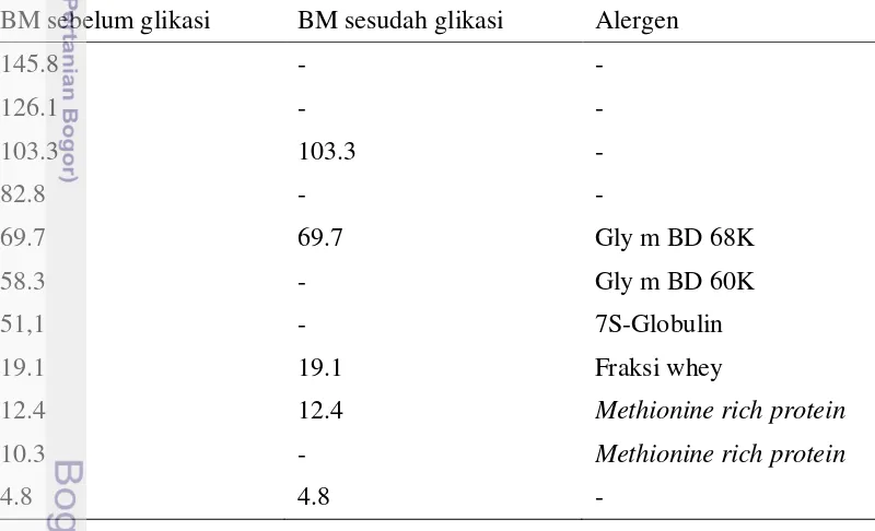 Tabel 5 Berat molekul protein kedelai GMO sebelum dan sesudah glikasi 