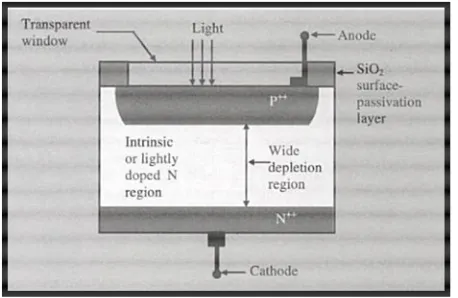 Figure 1.0: PIN Photodiode [1] 