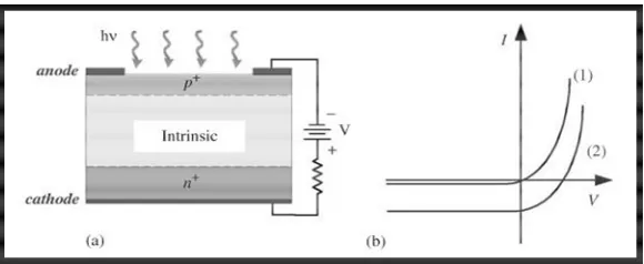 Figure 1.1: a) PIN photodiode operated in reverse bias, hv is the energy of radiation, V is the bias, and RL is the local load resistance