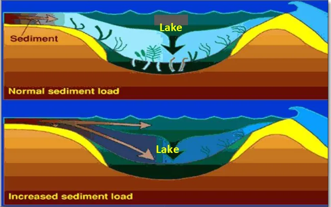 Gambar 1. Proses sedimentasi danau (Abdul Syukur. 2009) 