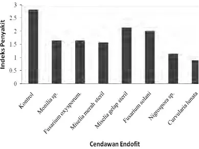 Gambar 3   Indeks penyakit akar gada pada berbagai jenis cendawan endofit asal rumput dan teki