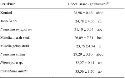 Tabel 4  Pengaruh perlakuan cendawan endofit asal rumput dan teki terhadap bobot basah  tanaman   