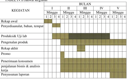 TABEL IV.6 Jadwal Kegiatan 