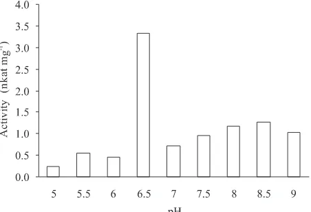 Fig 1  Activity curves from SLW8-1 and 45I-3 proteases mea-