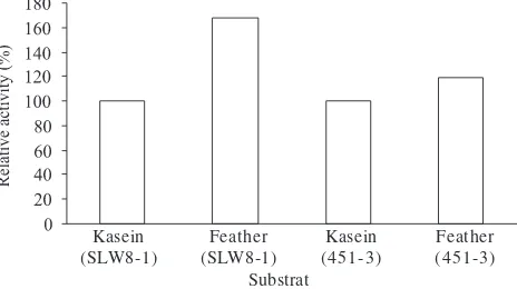 Fig 7  The effect of temperature on keratinase activity fromstrain SLW8-1 at pH 6.5.
