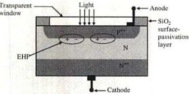 Figure 1: PN Junction Photodiode [3] 