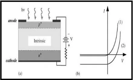 Figure 2 (a) PIN photodiode operated in reverse bias, hv 