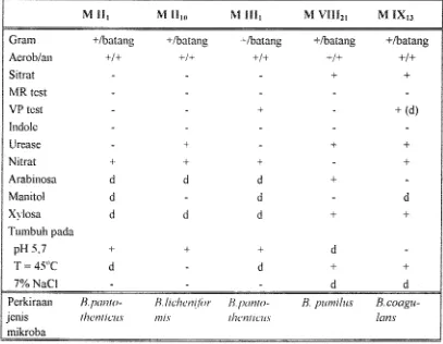 Tabel 2. ldentifikasi dilakukan dengan mcngalnati sifat-sifat morfologi dan reaksi biokimia 