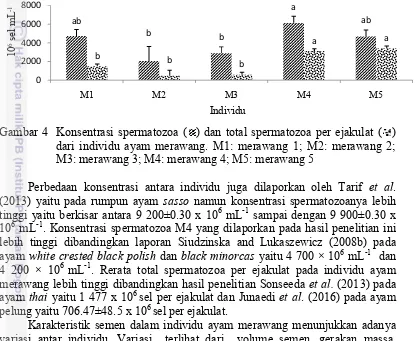 Gambar 4  Konsentrasi spermatozoa ( ) dan total spermatozoa per ejakulat (