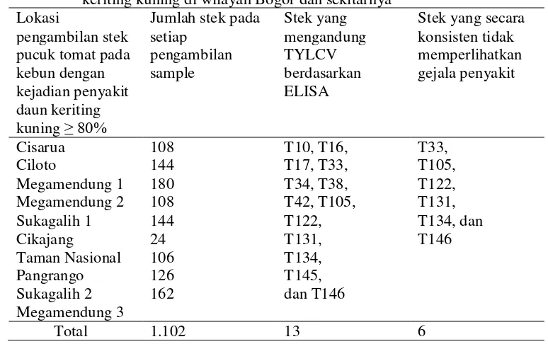 Tabel 2    Koleksi tanaman tidak bergejala dari lapangan yang epidemi penyakit keriting kuning di wilayah Bogor dan sekitarnya 