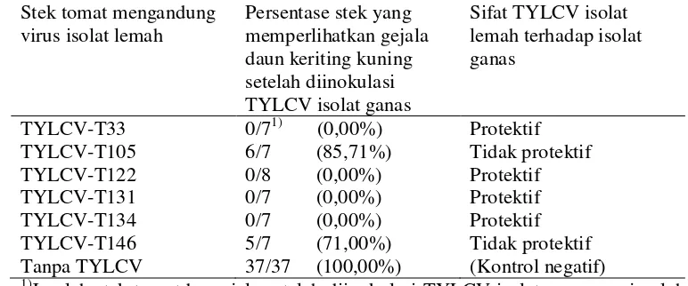 Tabel 3  Analisa sifat protektif isolat-isolat lemah TYLCV terhadap inokulasi isolat ganas 