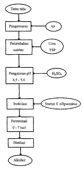 Gambar 1. Bagan alir proses fermentasi alkohol dari tetes tebu (molase) 