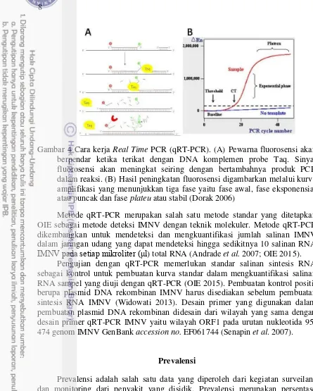 Gambar 4 Cara kerja Real Time PCR (qRT-PCR). (A) Pewarna fluorosensi akan 