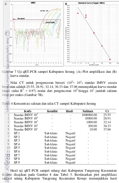 Gambar 7 Uji qRT-PCR sampel Kabupaten Serang. (A) Plot amplifikasi dan (B) 
