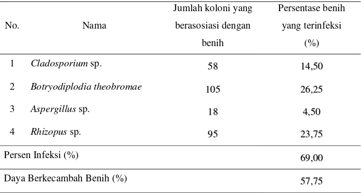 Tabel 1. Identifikasi fungi pada benih mahoni sewaktu masih di pohon. 