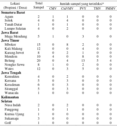 Tabel 3.2  Deteksi beberapa virus pada sampel tanaman cabai 