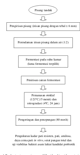 Gambar 1 Pembuatan tepung pisang modifikasi kombinasi fermentasi dan satu siklus pemanasan otoklaf  