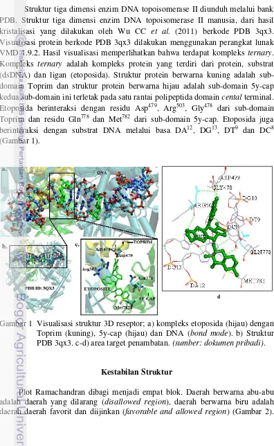 Gambar 1   Visualisasi struktur 3D reseptor; a) kompleks etoposida (hijau) dengan 