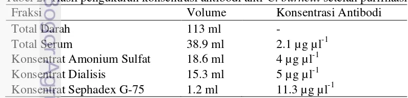Tabel 2.  Hasil pengukuran konsentrasi antibodi anti-C. burnetii setelah purifikasi 