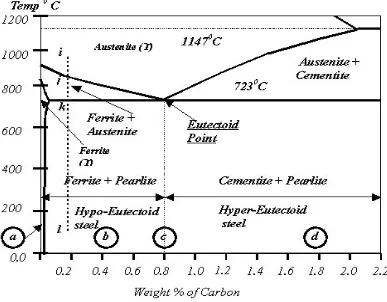 Figure 2.1 Iron-iron carbon phase diagram 
