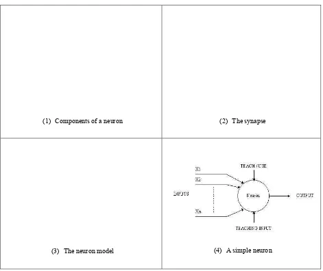 Figure 3-1: Neuron Network 