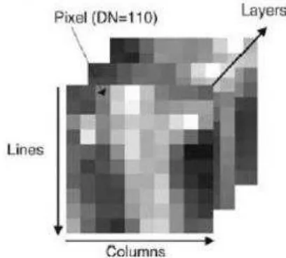 Gambar 4 Ilustrasi citra multispektral (Liu dan Mason 2009) 