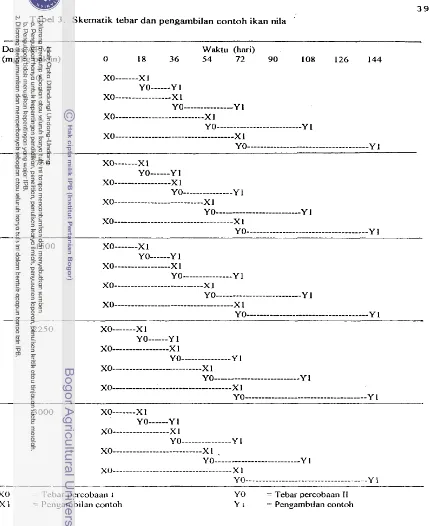 Tabel 3 .  Skernatik tebar dan pengambilan contoh ikan nila 