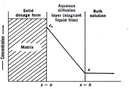 Gambar 2. Disolusi obat dari suatu padatan matriks (Martin, dkk., 1993) 