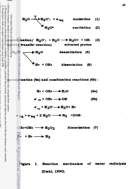 Figure 1, Reaction mechanism 