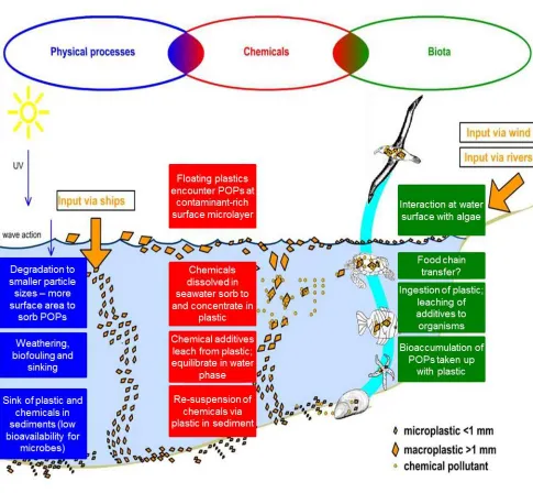 Figure 3: Environmental fate and behaviour of plastic particles after release to the aquatic environment