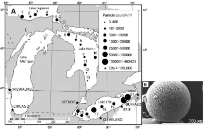 Figure 5: (A) Distribution of microplastics by count from 21 samples collected in the Laurentian Great Lakes; and (B) microbead found at one sampling site (Eriksen et al., 2013) 
