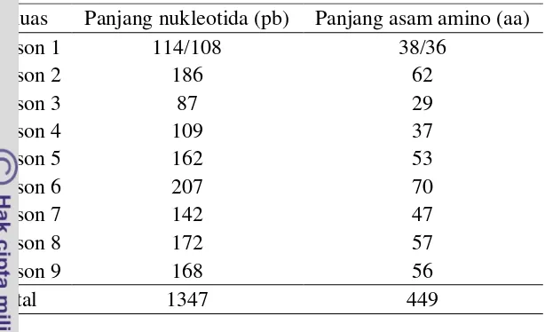 Tabel 4 Panjang urutan ekson 1-9 gen BCKDHA sapi madura 