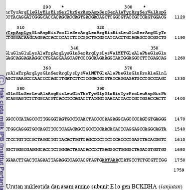 Gambar 14 Hasil kromatogram variasi alel 1 dan alel 2 pada ekson 1 gen 