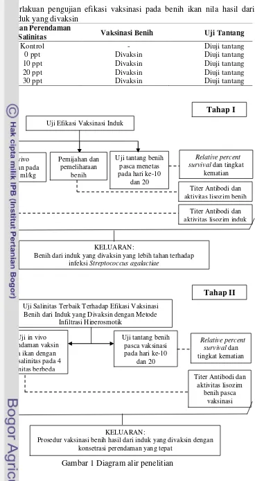 Tabel 2 Perlakuan pengujian efikasi vaksinasi pada benih ikan nila hasil dari 