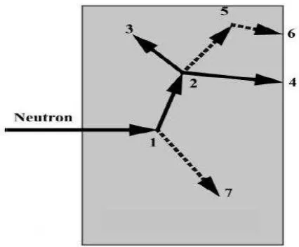 Gambar 7. Jejak Acak dari Interaksi Neutron dengan Materi (Booth, 2003) 