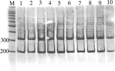 Gambar 2 Hasil pemotongan gen        sitokrom bA. mellifera dengan menggunakanenzim restriksi BglII M=marker(DNA 100 bp), 1-10=nomor con-toh A