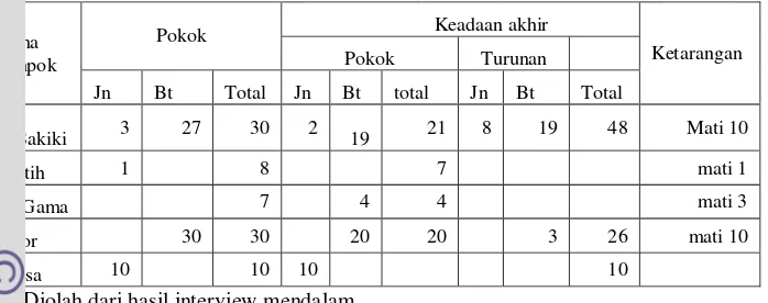 Tabel 5. Data bantuan sapi di desa Kalimantong tahun 2006-2013 