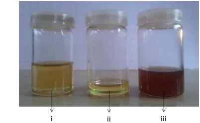 Tabel 1 Komposisi senyawa di dalam minyak cengkih, isolat eugenol, ekstrak 