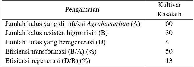 Tabel 1. Efisiensi transformasi dan efisiensi regenerasi padi Indica  